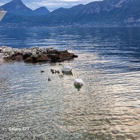 Il Nido Villa Brenzone sul Garda Eksteriør billede