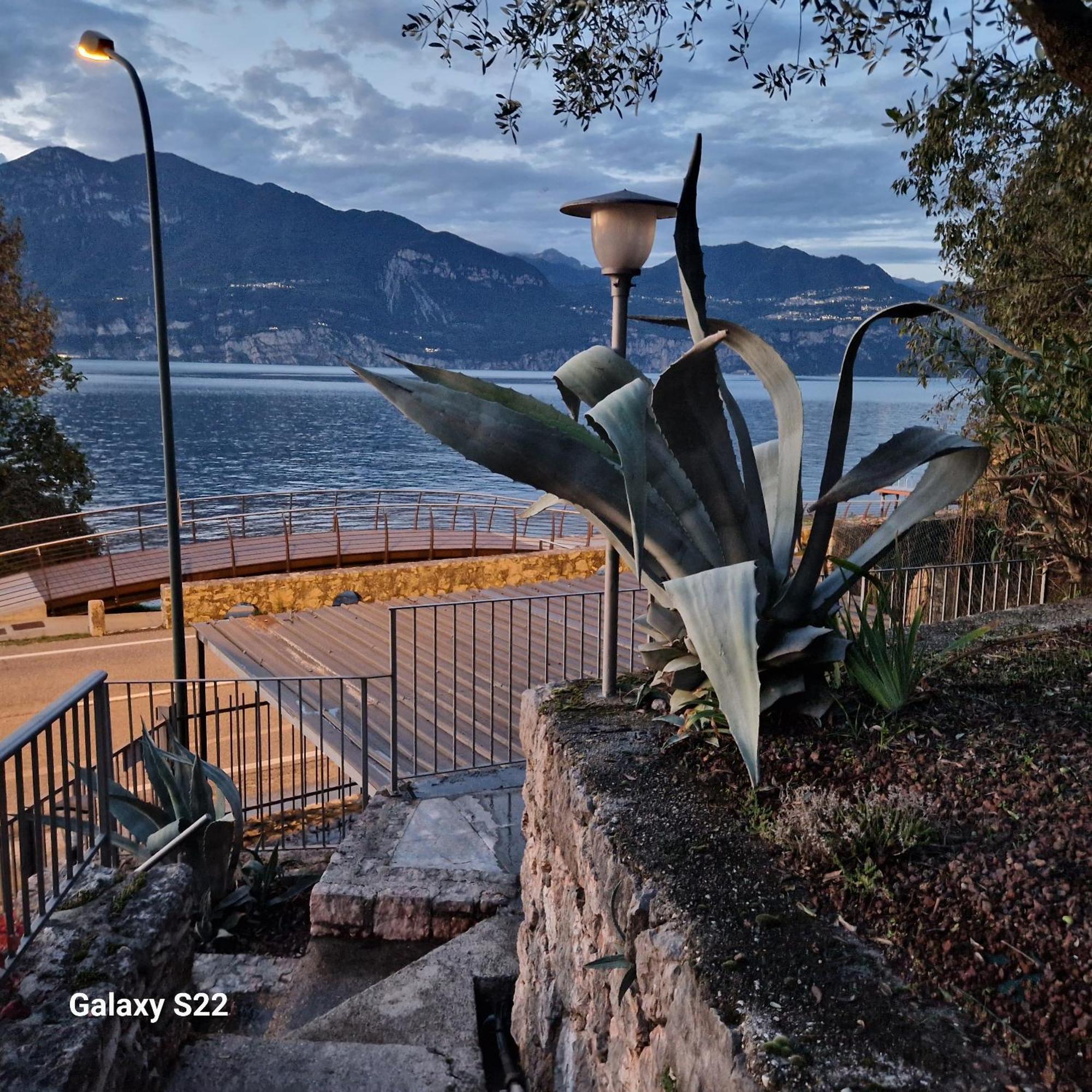 Il Nido Villa Brenzone sul Garda Eksteriør billede